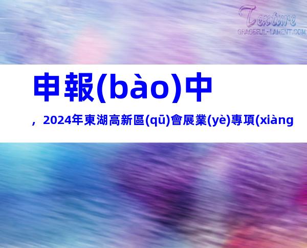 申報(bào)中，2024年東湖高新區(qū)會展業(yè)專項(xiàng)資金申報(bào)對象、條件